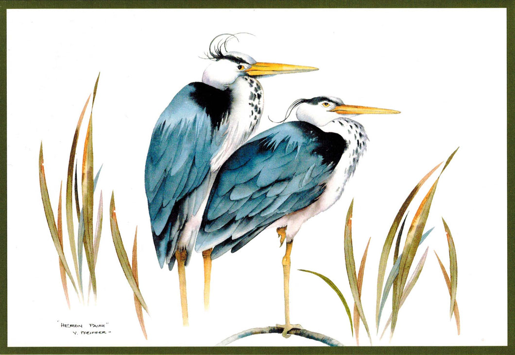 Blue Herons