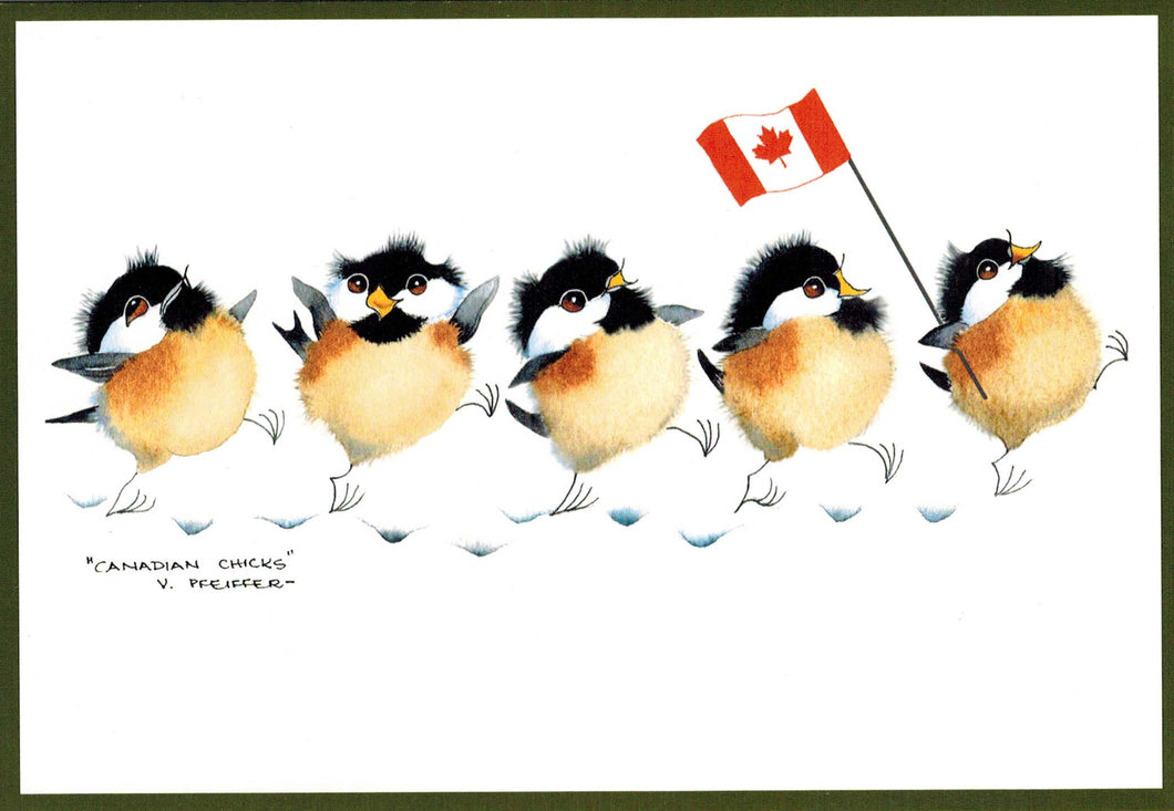 Canadian Chicks
