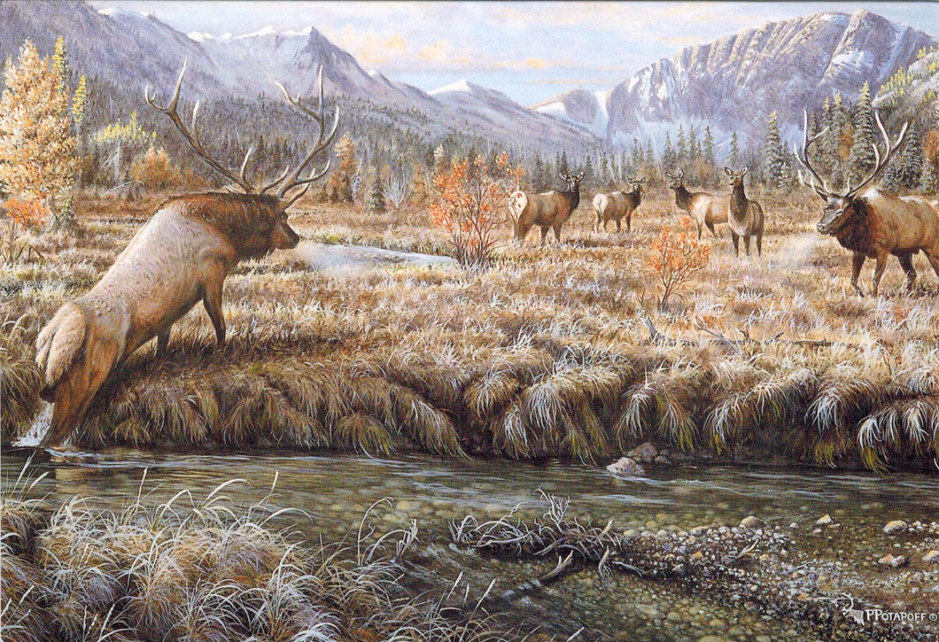 Autumn Ritual - Elk