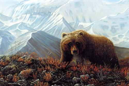 Grizzly - High Tundra