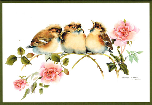 Sparrow and Roses