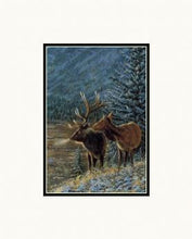 First Snow - Elk