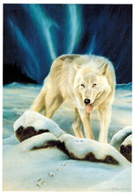 Northern Spirit (Wolf)